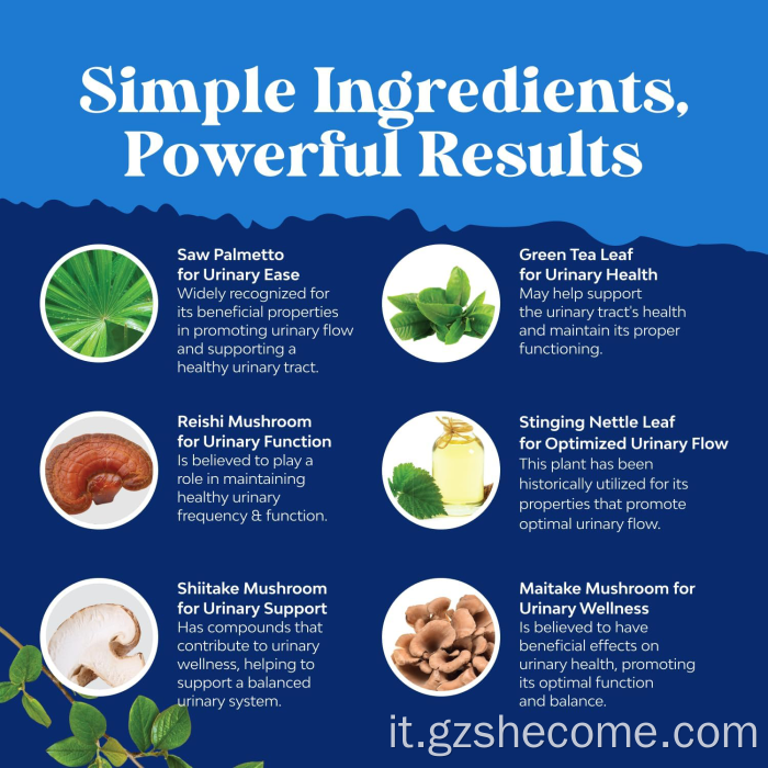 Designs for Health Saw Palmetto supporta la salute della prostata